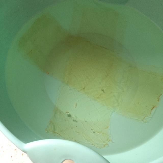 樱花火龙果冻芝士慕斯(6寸)