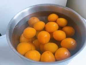 酸杏酵素（杏子酒）的做法 步骤5