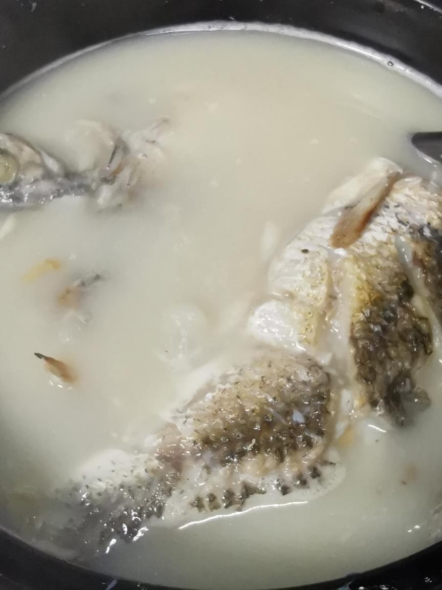 奶白鱼汤的做法 步骤5