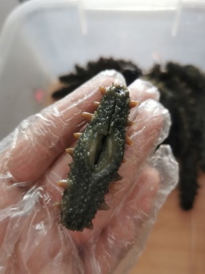 超快速海参泡发方法的做法 步骤2