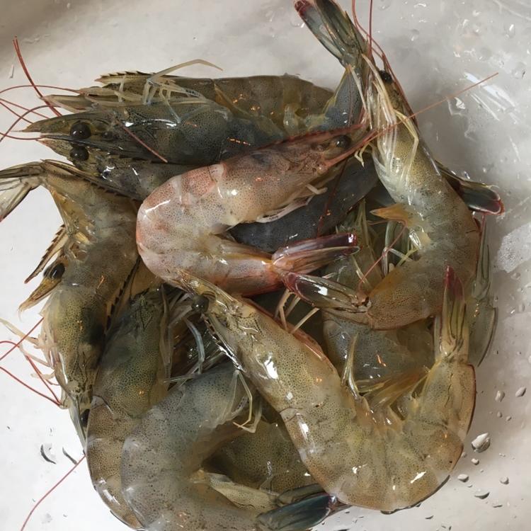 香辣开背虾的做法 步骤2