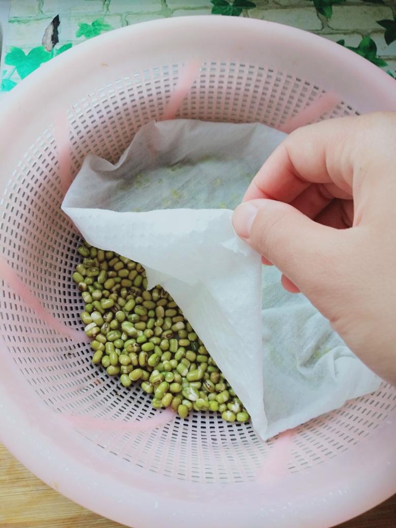 自种绿豆芽,家种豆芽菜