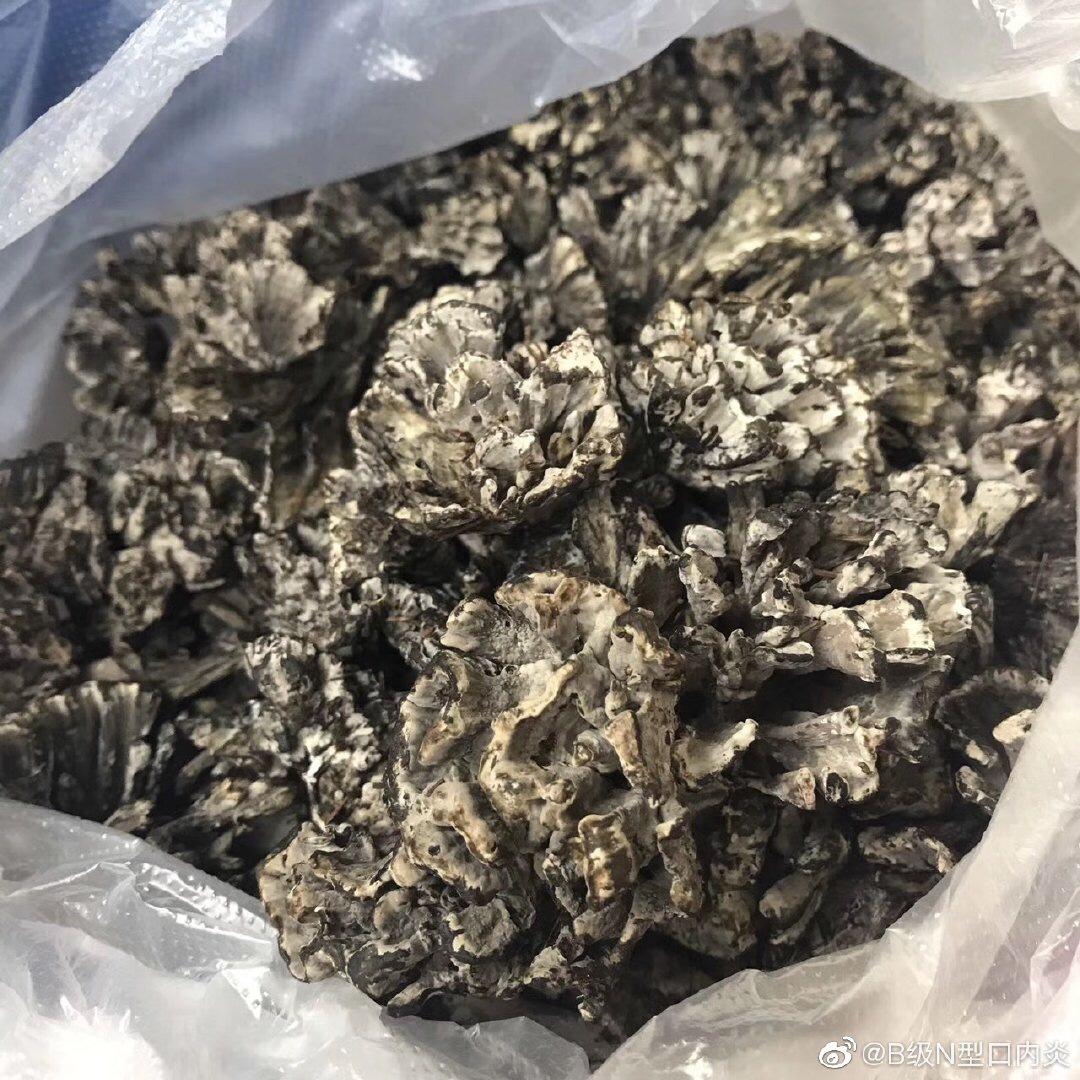 干巴菌牛肉酱
