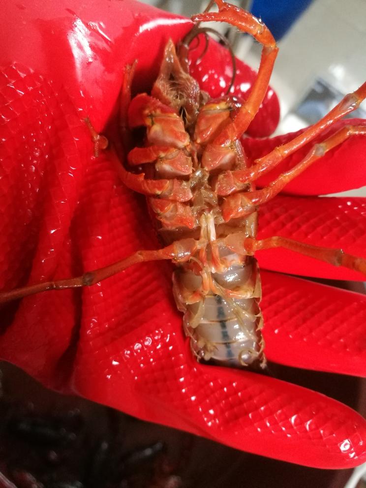 麻辣小龙虾