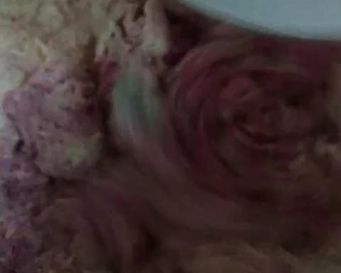 【酸奶火龙果面包——麻薯豆沙馅料的做法步骤图】Helen699-制作