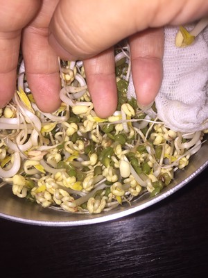 绿豆芽的做法 步骤2