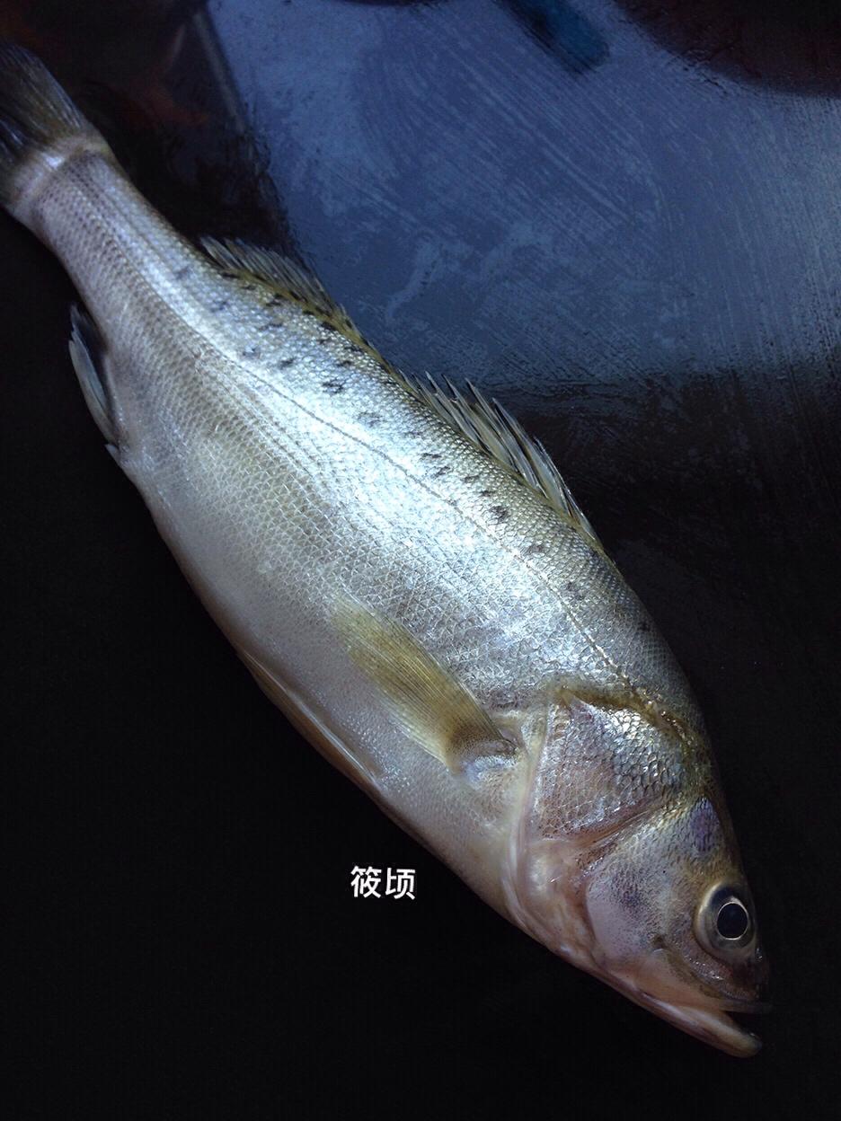 海鱼