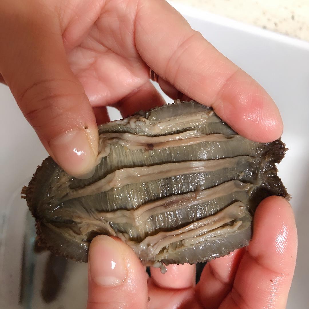 海参的泡发