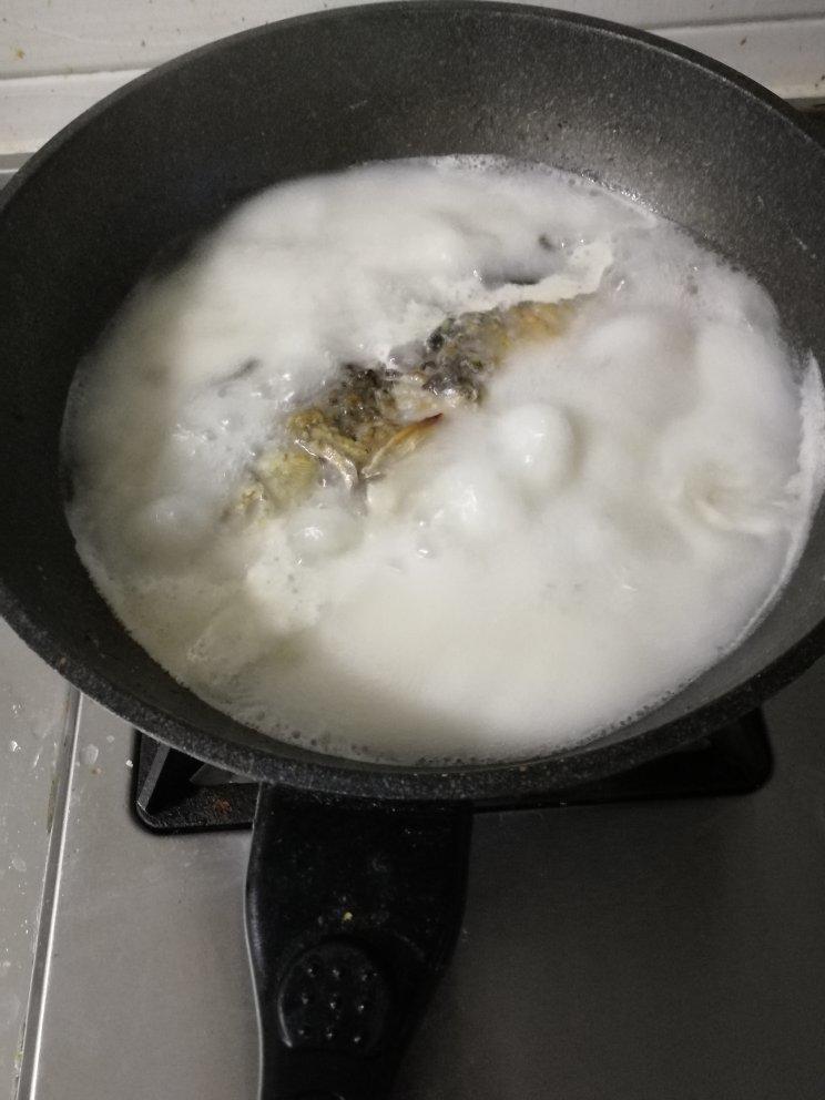 如何熬出奶白色鲜美鲫鱼汤