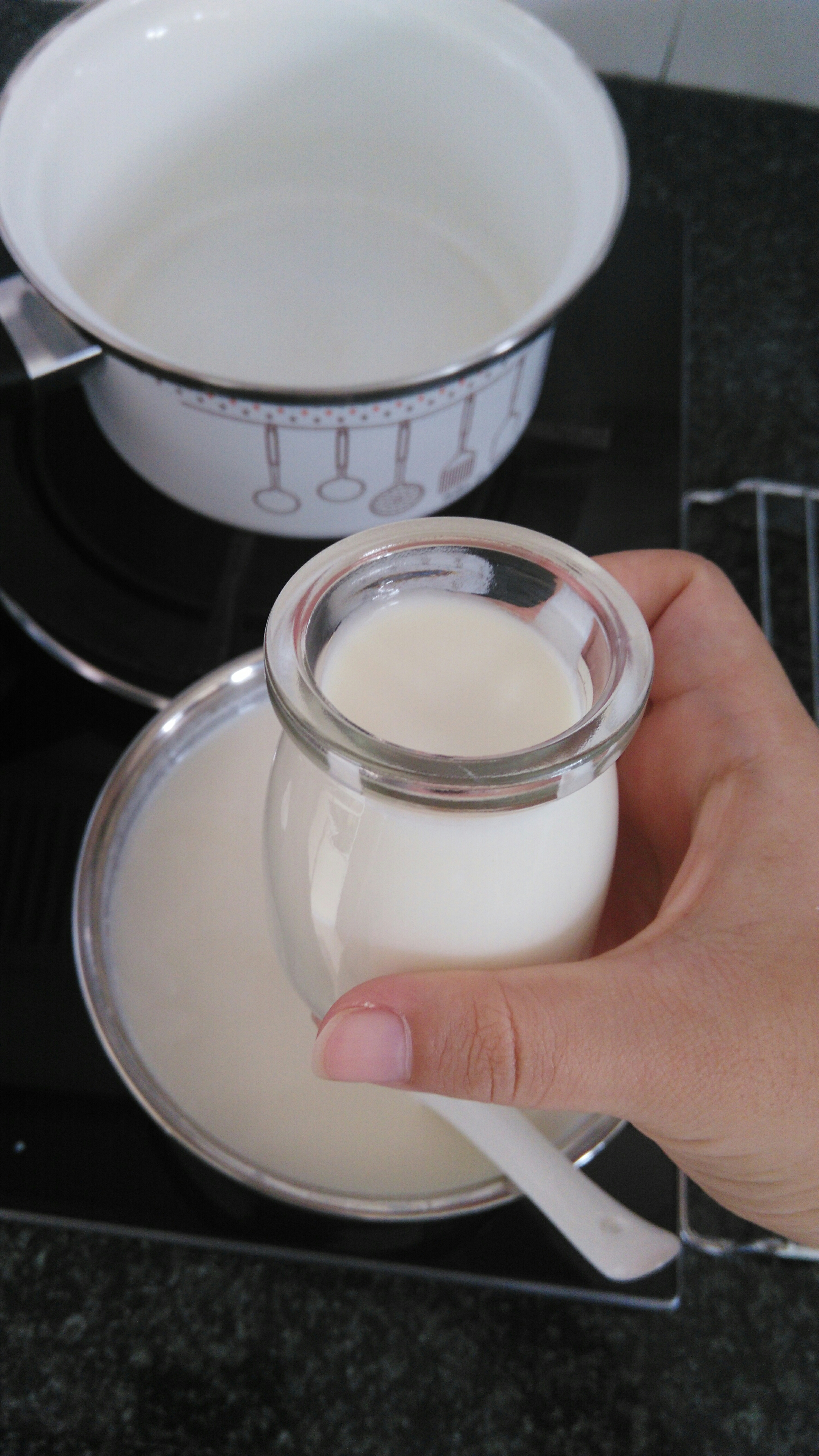 酸奶机自制酸奶(百分百成功)