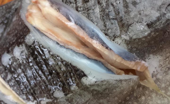 豆腐斑鱼的用料肉沫海参卷图片