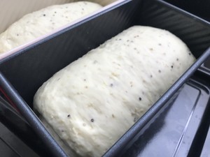 营养藜麦软软吐司的做法 步骤7