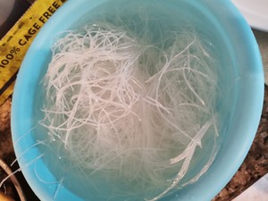 蒜蓉粉丝蒸龙虾的做法 步骤11