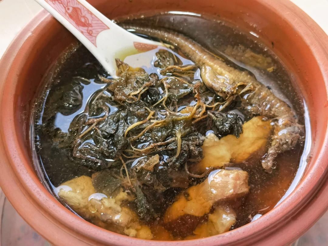 海马青天葵炖瘦肉汤