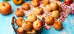 日韩系菜菜 卖萌滴的封面