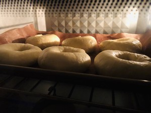 ?香柠波兰贝果
?碱水肉松贝果的做法 步骤34