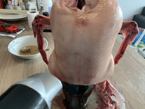 简易版自制烤鸭的做法 步骤3