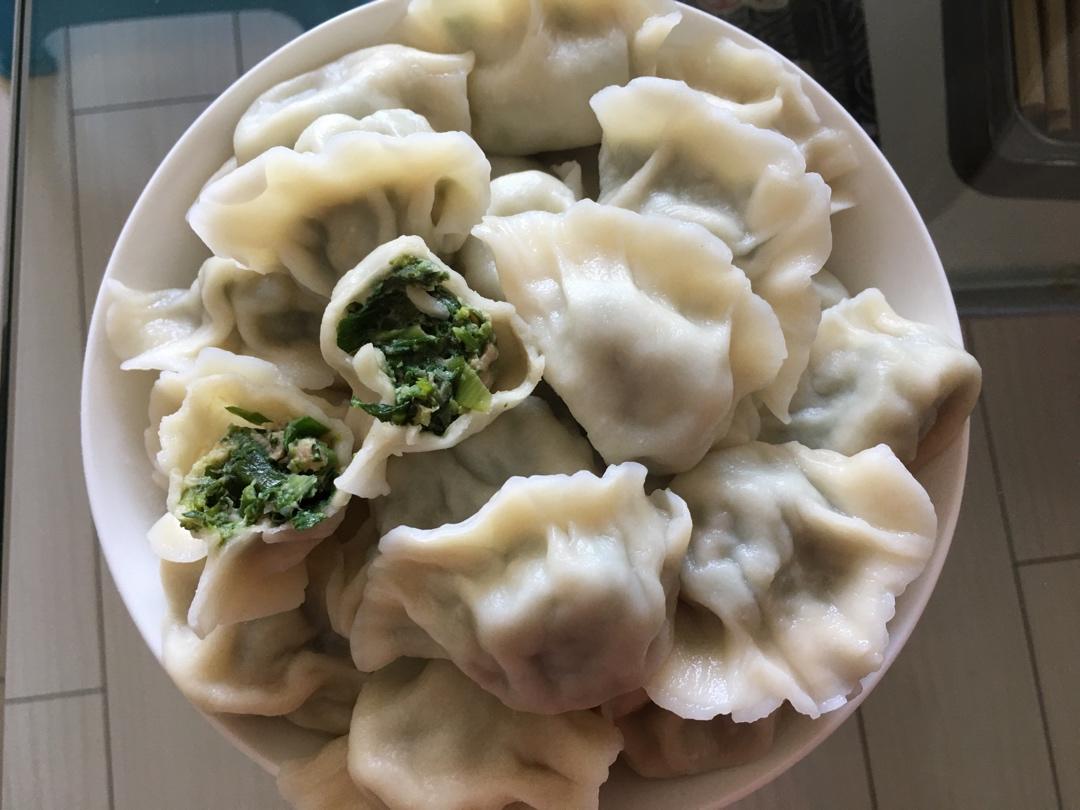 lucy_yif2做的荠菜鲜肉饺子