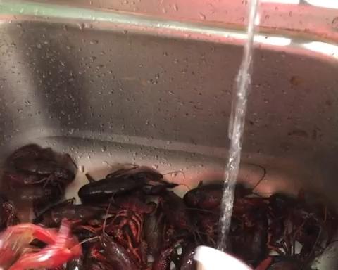 彻底清洗清理小龙虾，简单又干净的做法 步骤4