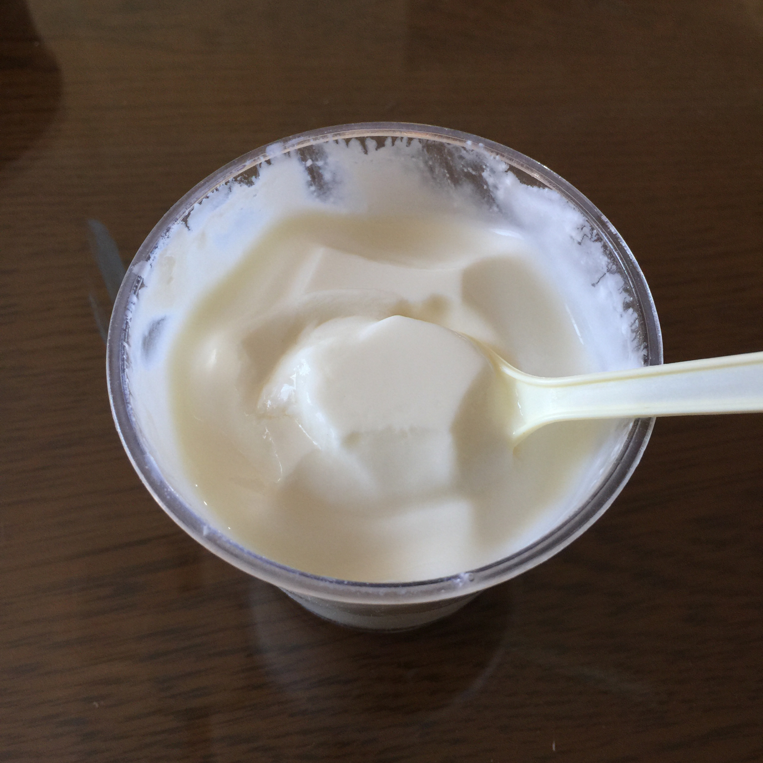 麦苗-6做的自制老酸奶