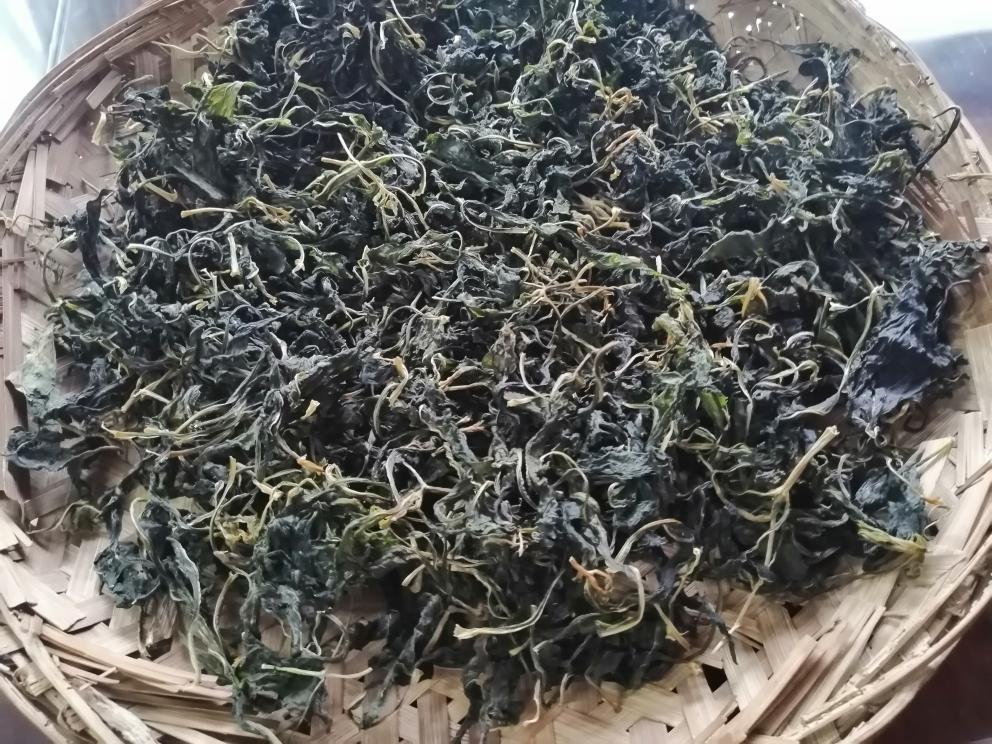 晒苦叶菜干