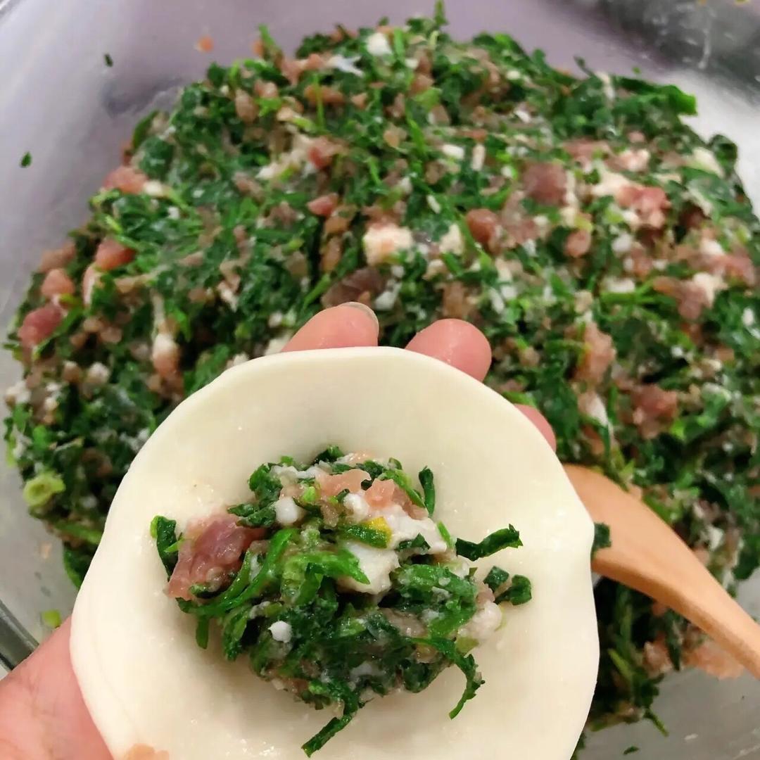荠菜鲜肉饺子