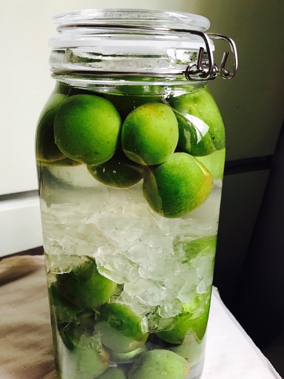菜小豆做的自制梅酒