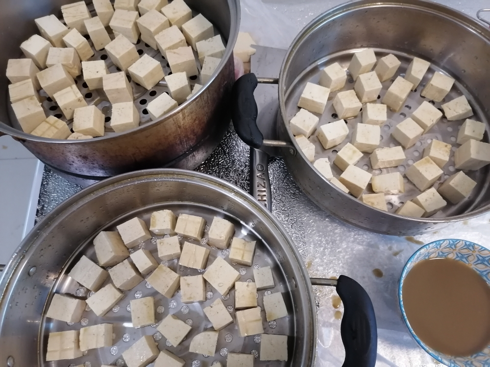 每块豆腐沾上 放蒸锅里发酵3天左右 锅里放点水 需要湿度和温度