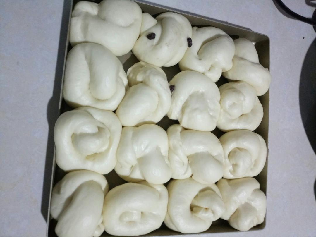 【椰蓉小餐包（玉米油版）的做法步骤图】拉拉a-制作