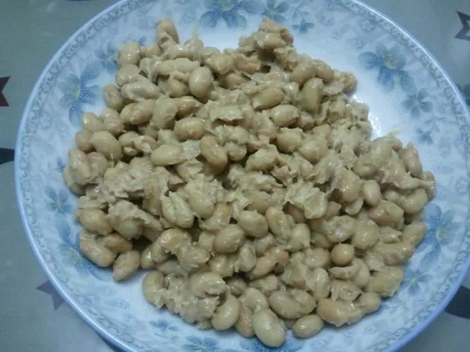 【【自制纳豆】不用纳豆菌图片】富贵菊-1