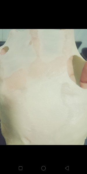 手揉波兰种汉堡面包胚的做法 步骤9
