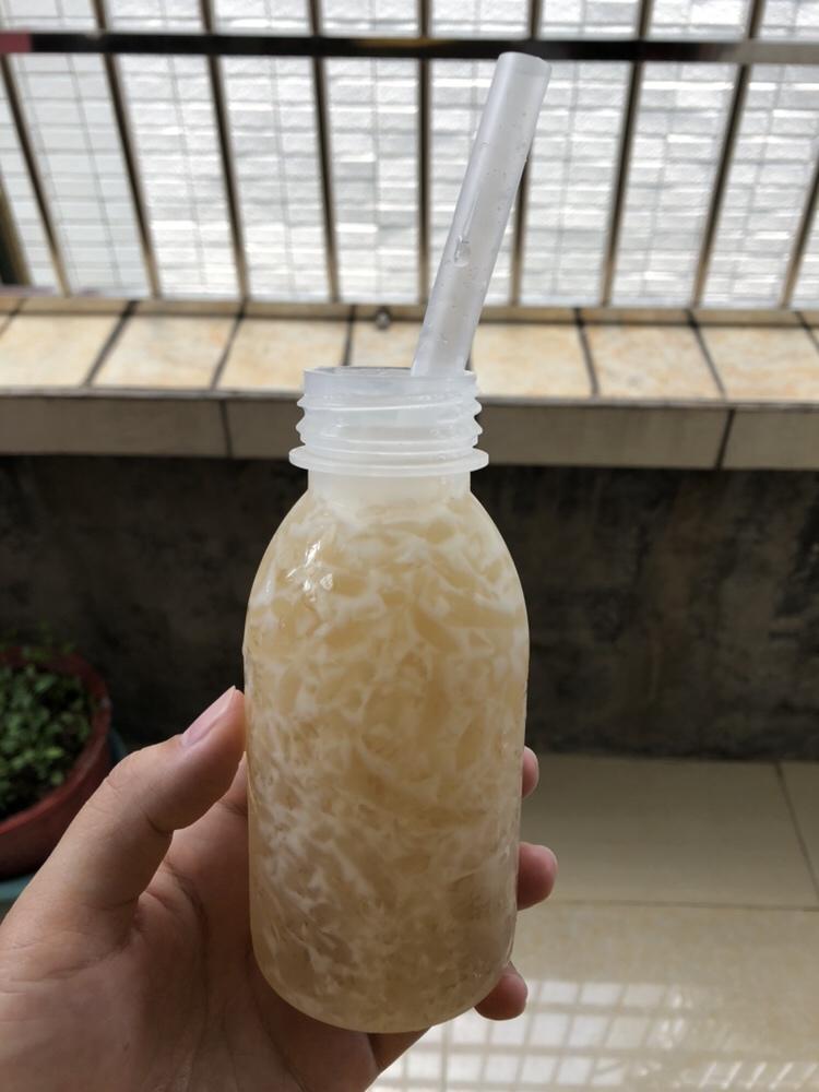 海底椰菊花雪梨膏