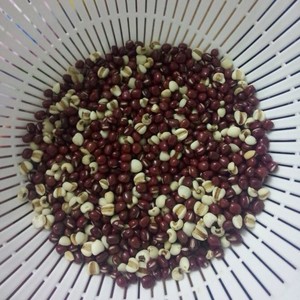 红枣红豆薏仁牛奶粥的做法 步骤1