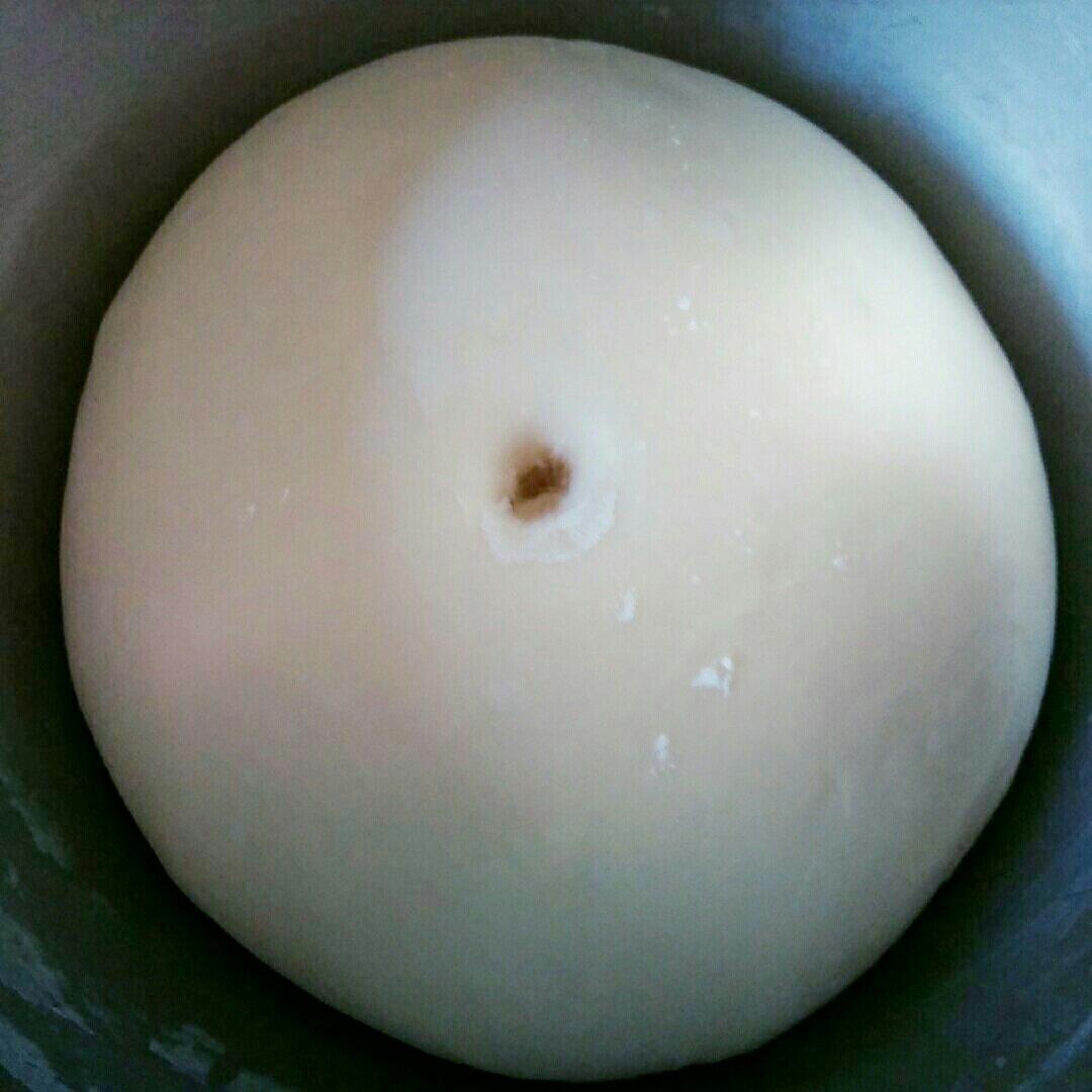 【酸奶餐包的做法步骤图，酸奶餐包怎么做好吃】浪漫春天-制作