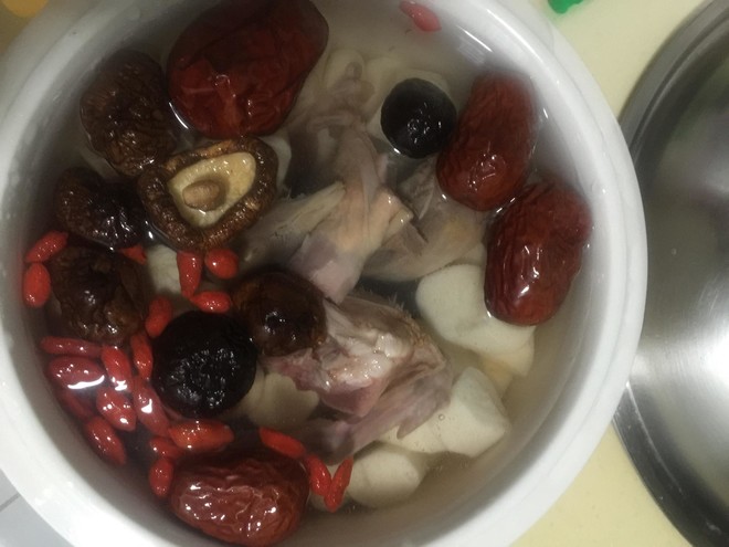 鸽子汤鸽子能喂穿心莲图片