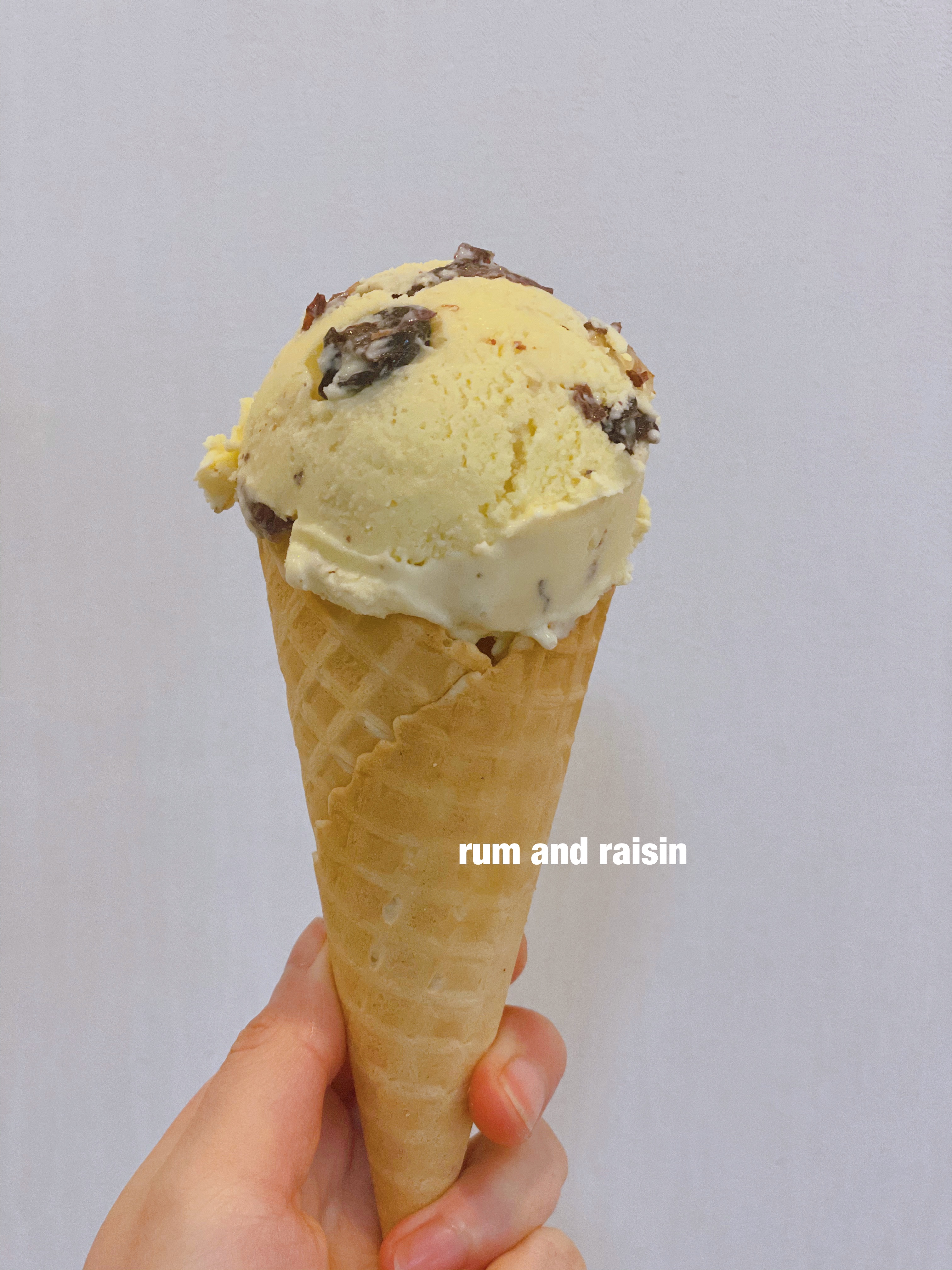 raisin and rum gelato 葡萄朗姆酒冰淇淋