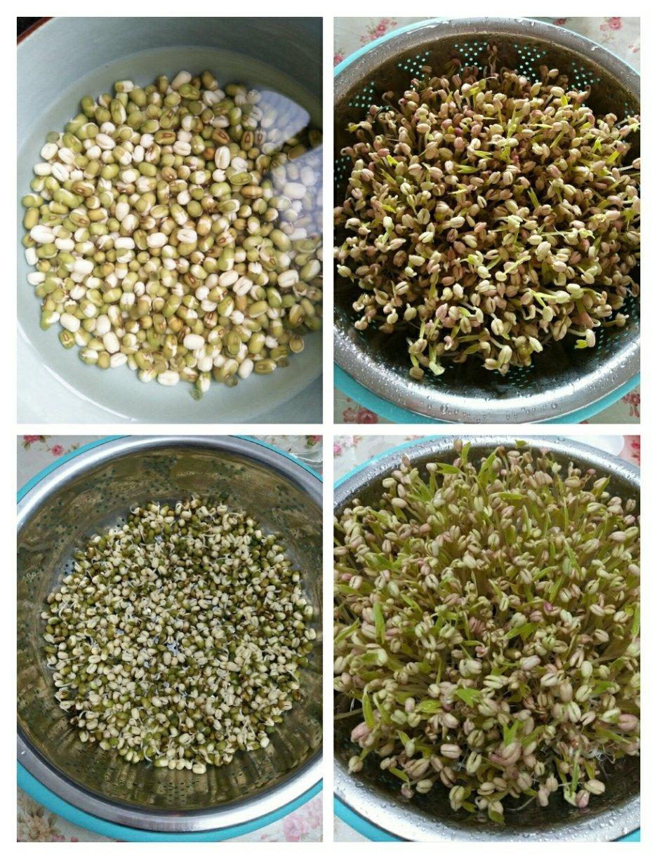 谢利828做的自发绿豆芽/自生豆芽/自制豆芽