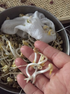 绿豆芽的做法 步骤1