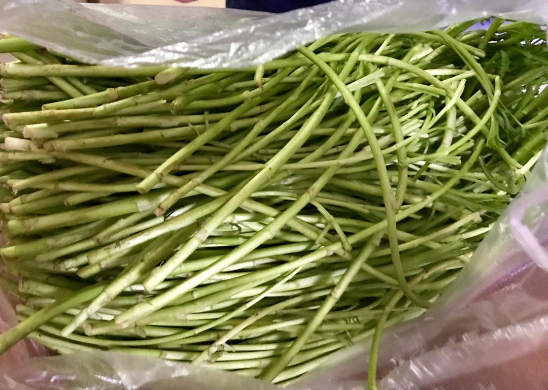 cyyy做的篱蒿炒腊肉
