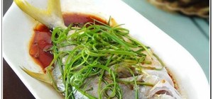 fish的封面