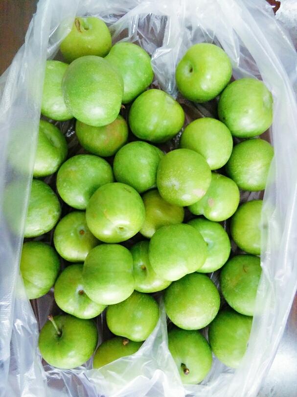 【野李子酒的做法步骤图,野李子酒怎么做好吃