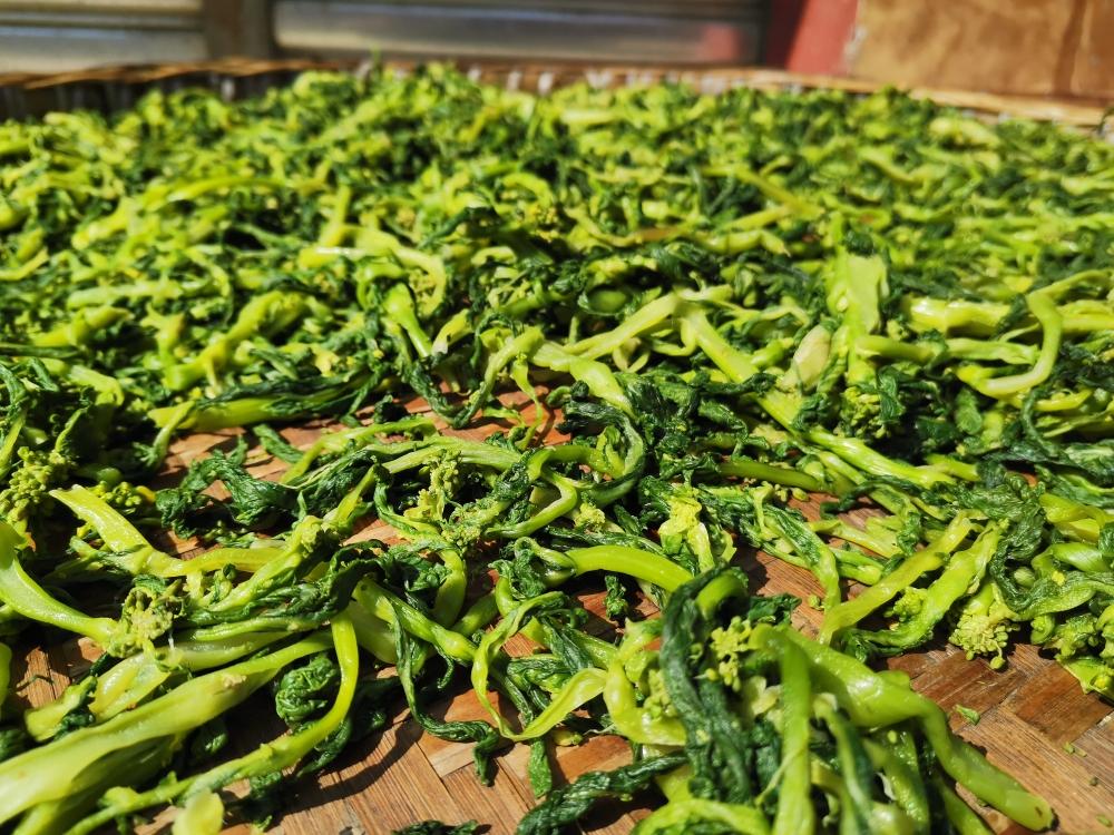 菜苔干