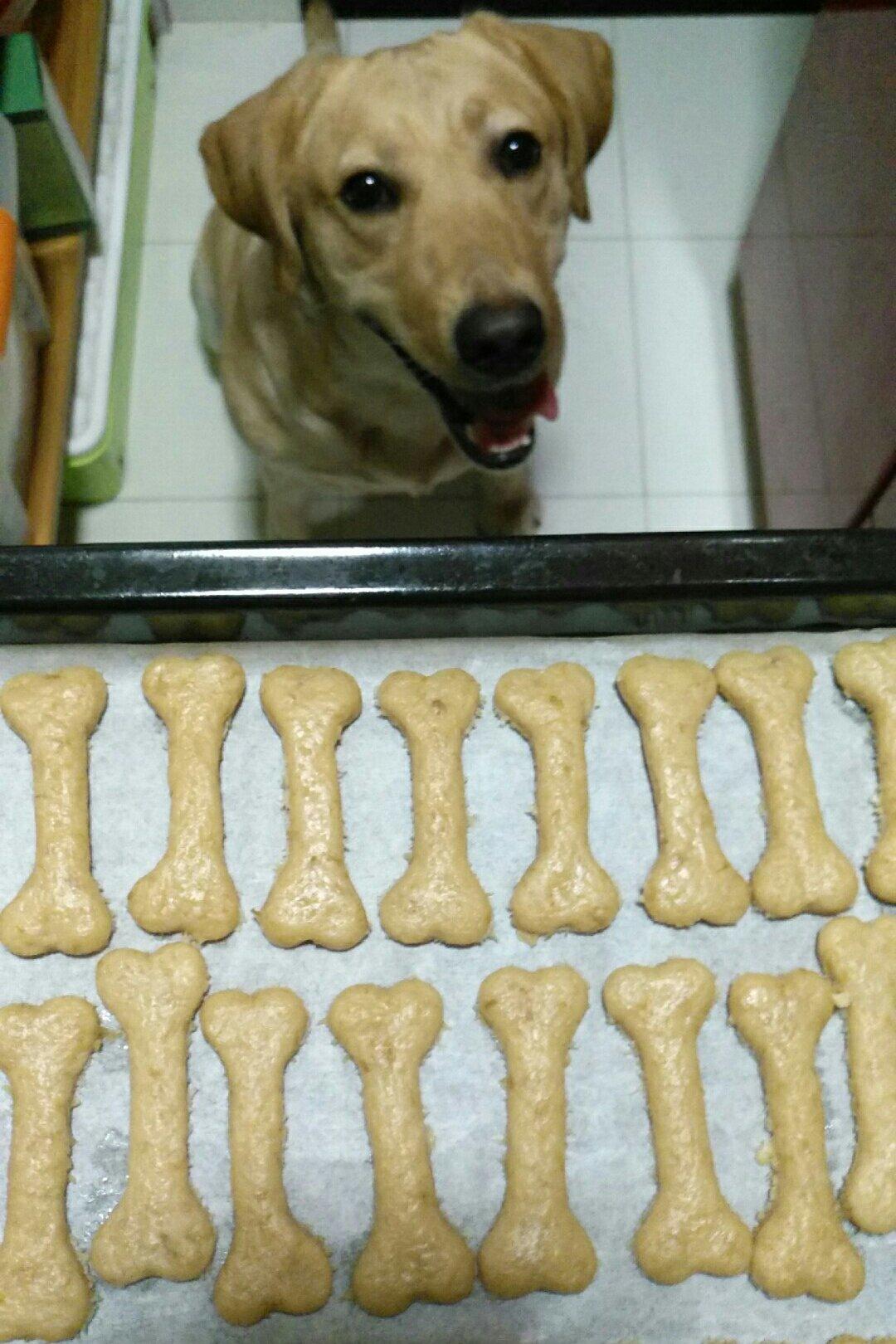 自制狗狗磨牙棒