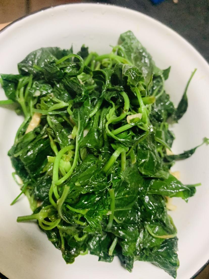 冬瓜木耳香菜减肥汤三天情况报告(丝瓜炒海白)