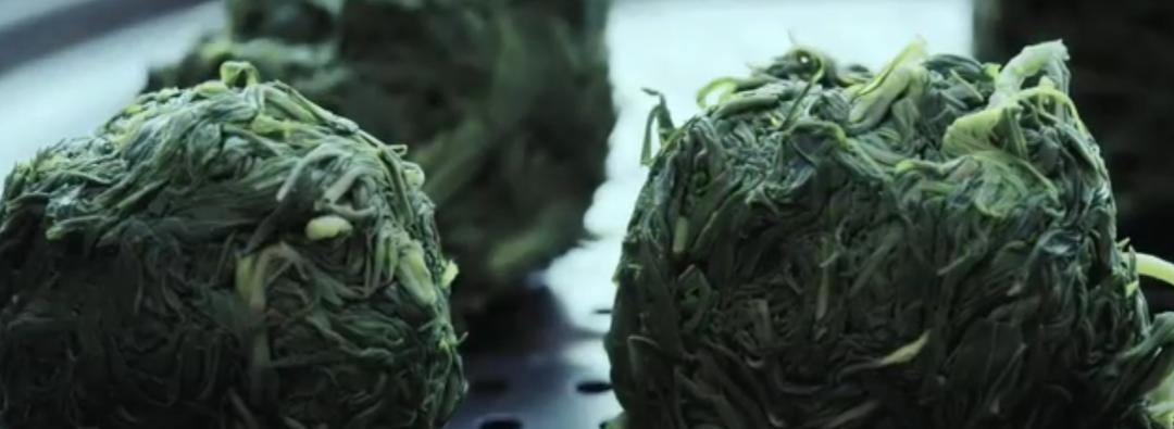 柳蒿芽常见的几种做法的做法 步骤2
