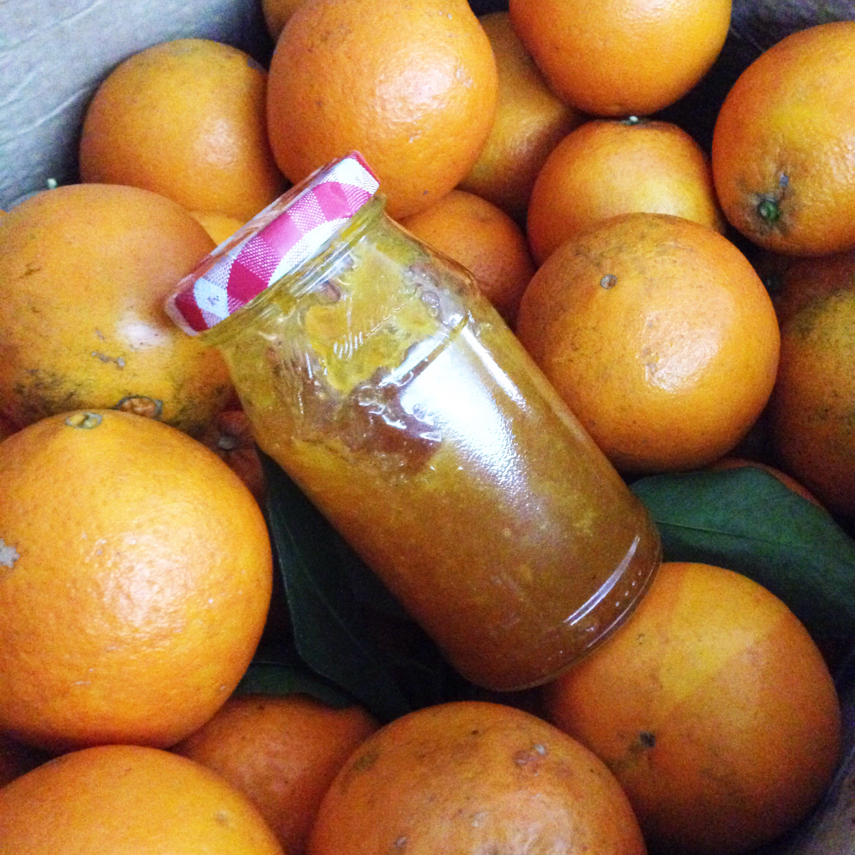 柠檬橘子西柚酱做的橙子果酱