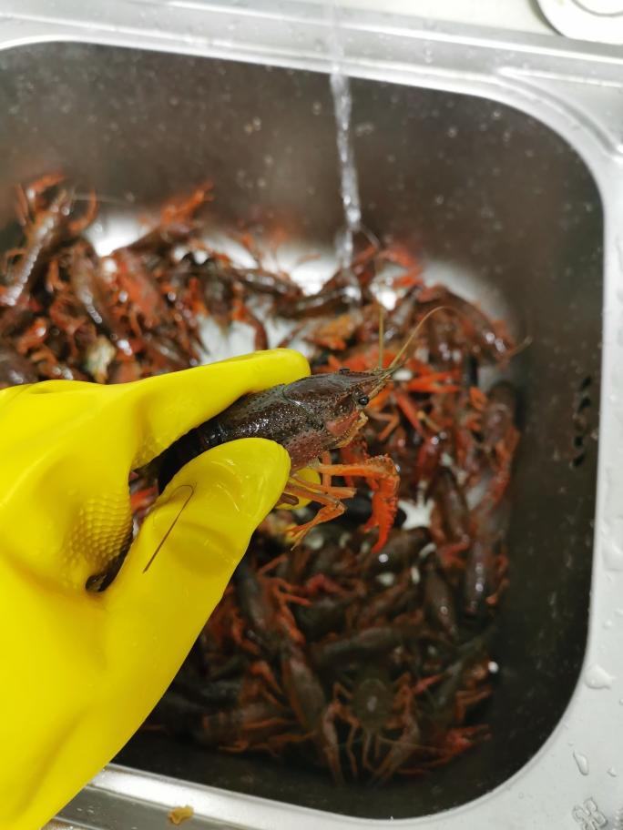 海底捞版零失败麻辣小龙虾！！！！的做法 步骤3
