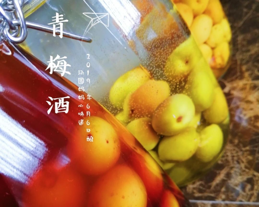 青梅酒~黄梅酒~黑糖梅子酒快快自己酿起来