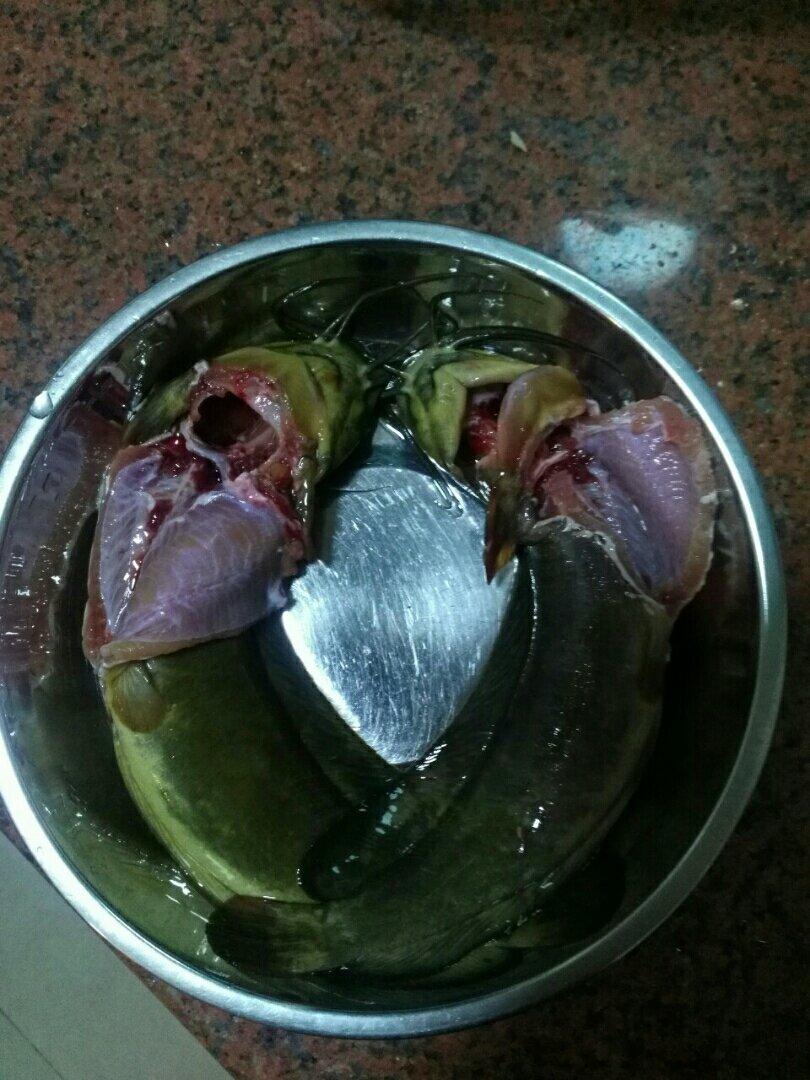 依然-彦做的教你如何宰塘鲺鱼