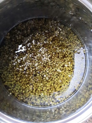 简单易学正宗花椒油的做法 步骤13